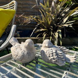 Garden Decoration - Distressed unique Concrete Birds H12cm
Available in two positions - one facing left & one facing right