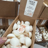 Hollie Tree Luxury Botanical Wax Melts - Mix & Match