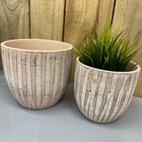 Cement Wave/Bamboo Pattern Plant Pot
Available in two sizes; Small H12.5cm & Medium H15cm