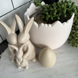 Matte White Egg Shell Pot - Large