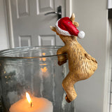 Christmas Harry Highland Cow Pot Hanger
