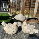 Garden Decoration - Distressed unique Concrete Birds H12cm
Available in two positions - one facing left & one facing right