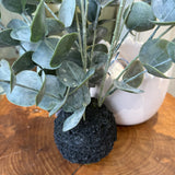 Artificial Green/Grey Eucalyptus in Soil Ball