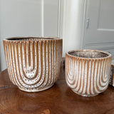 Brown Neutral Textured Glazed Dora Textured Plant Pots
Available in 2 sizes - Small 10cm & Large 13.8cm