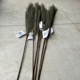Feathered Artificial Spray pack of 6 - Khaki 70cm
