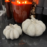 Beige Mottled Ceramic Pumpkins - 2 sizes