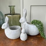 Concrete Rabbit Planters - Small