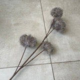 Brown Dry Look Clematis Seedhead Spray H66cm