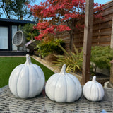 Off White Glazed  Ceramic Pumpkins -
Available in 3 sizes - Small 8cm, Low H13.5cm & Tall 17cm 