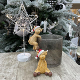 Christmas Pot Hanger - Harry Highland Cow