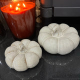 Beige Mottled Ceramic Pumpkins - 2 sizes