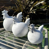 Garden Decoration - Concrete Female Rooster with fan tail - 3 sizes