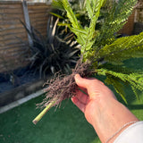 Artificial Fern spray bunch