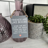 Mini Metal Hanging Signs - Friends are Like Boobs...