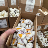 Hollie Tree Luxury Botanical Wax Melts - Mix & Match
