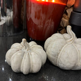 Beige Mottled Ceramic Pumpkins - 2 sizes