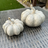Beige Mottled Ceramic Pumpkins - 2 sizes