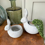 Concrete Rabbit Planters - Small
