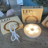 Light Glow Dome T-light Holder - Night Fairies