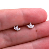 Message In A Bottle Crystal Crystal Earrings - 'One year more FABULOUS'