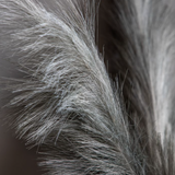 Feathered Artificial Spray pack of 3 - Grey 98cm