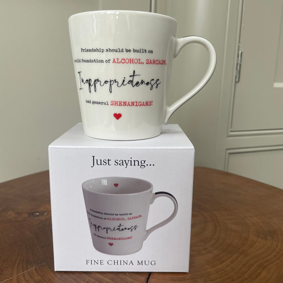 Fine China gift boxed fun quotable Mug; 'Friendship should be built on a solid foundation of alcohol, sarcasm, inappropriateness and general shenanigans!' 