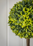 Faux Topiary Ball in Pot 44cm 20SS80