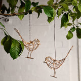 Illuminating ideas by LightStyle London Hanging Outdoor Light Up 20LEDs Brown Robin