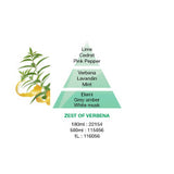 Lampe Berger Zest of Verbena pyramid image of the ingredients used for this fragrance