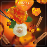 Maison Berger - Amber Powder Lampe Berger Refill