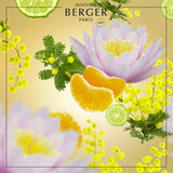 Maison Berger Aroma - D Stress fragrance