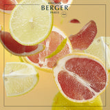 Maison Berger - Parfum Berger Diffuser Refill 200ml Aroma Collection: Aroma Energy Sparkling Zest Fragrance
