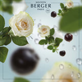 Maison Berger - Ocean Breeze Lampe Berger Refill
