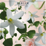 Maison Berger - Precious Jasmine Lampe Berger Refill 115286