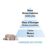 Maison Berger - Pure Dreams - Cotton Caress
