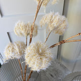 Cream Clematis Seedhead Spray