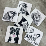 Dog Coaster - Springer