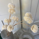 Cream Clematis Seedhead Spray