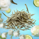Pure White Tea Lampe Berger Refill