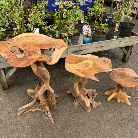 Garden Decoration