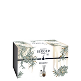 Maison Berger Scented Bouquet Tan Evanescence Diffuser with 200ml Mystic Leather fragrance 
