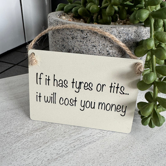 Mini Metal Hanging Sign - ‘If it has tyres or tits...’
