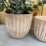 Cement Wave Plant Pot - 2 sizes