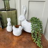 Concrete Rabbit Planters - Small