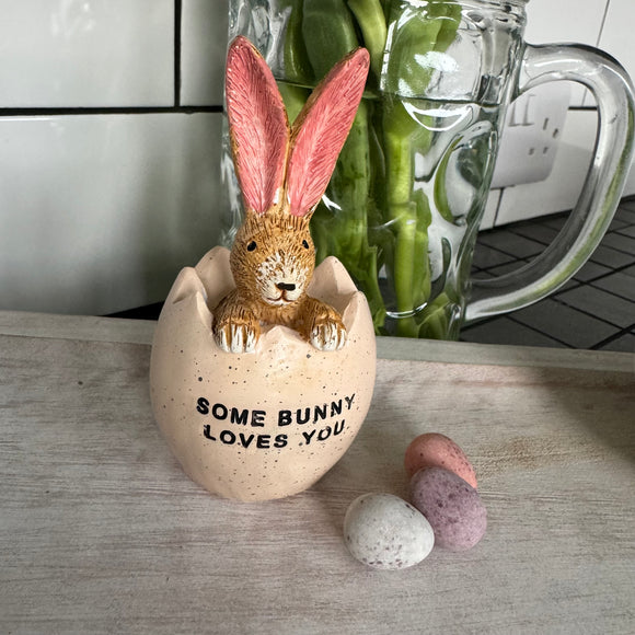 Ruth Rabbit Figure hiding 11cm in a Cracked Egg with quote: 'Some Bunny Loves You'