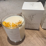 Botanical Wickless Candles - Jasmine & Ylang