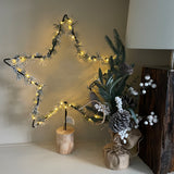 LED Light Up Pine Star on Stand