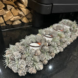 Frost Pinecone T-light Holder L43cm