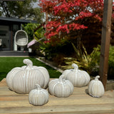 Cream Rustic Ceramic Pumpkins - Large