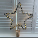 LED Light Up Pine Star on Stand